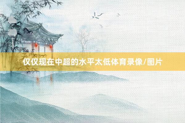 仅仅现在中超的水平太低体育录像/图片