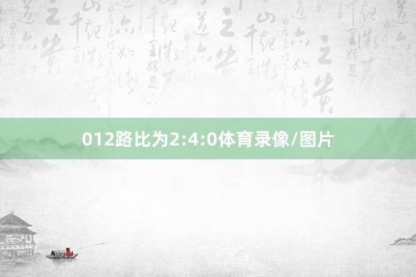 012路比为2:4:0体育录像/图片