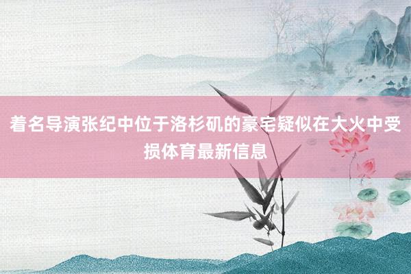 着名导演张纪中位于洛杉矶的豪宅疑似在大火中受损体育最新信息