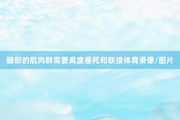 腿部的肌肉群需要高度垂死和联接体育录像/图片