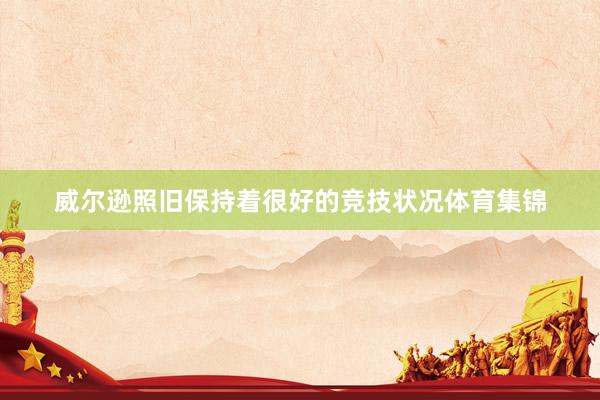 威尔逊照旧保持着很好的竞技状况体育集锦