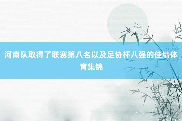 河南队取得了联赛第八名以及足协杯八强的佳绩体育集锦