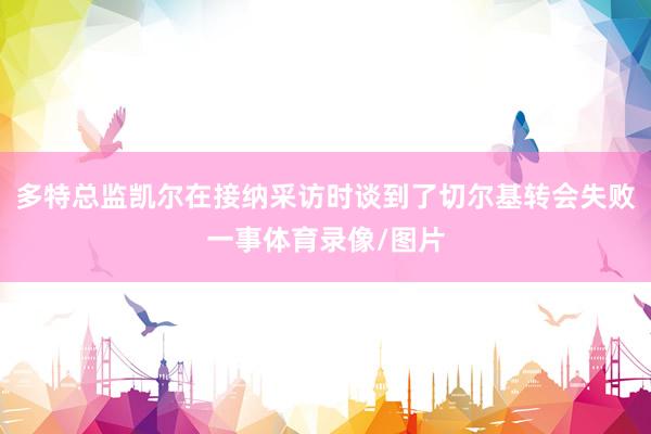 多特总监凯尔在接纳采访时谈到了切尔基转会失败一事体育录像/图片