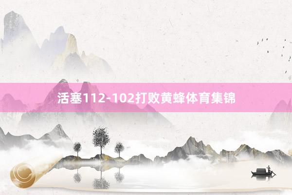 活塞112-102打败黄蜂体育集锦