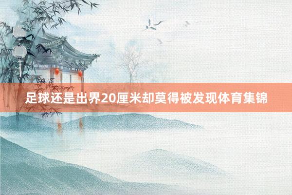 足球还是出界20厘米却莫得被发现体育集锦
