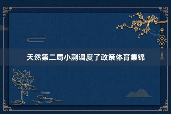 天然第二局小蒯调度了政策体育集锦