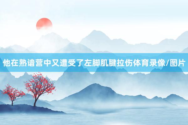 他在熟谙营中又遭受了左脚肌腱拉伤体育录像/图片