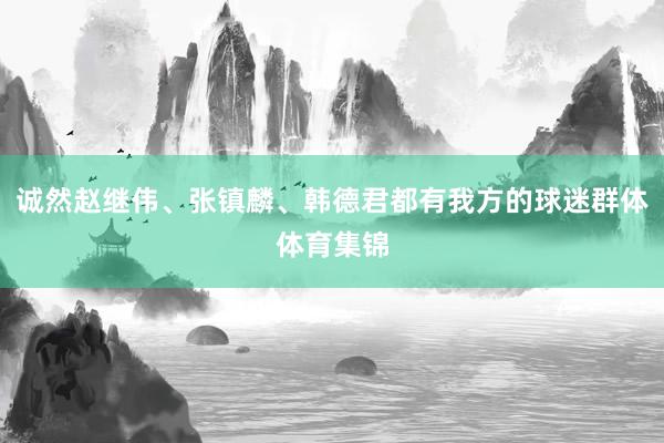 诚然赵继伟、张镇麟、韩德君都有我方的球迷群体体育集锦