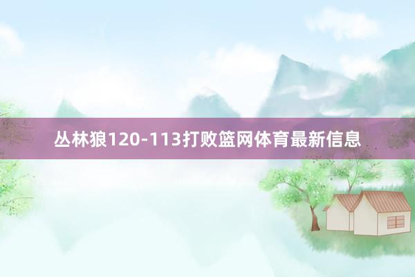丛林狼120-113打败篮网体育最新信息