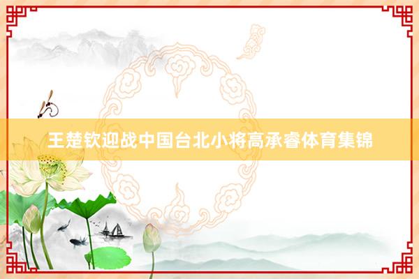 王楚钦迎战中国台北小将高承睿体育集锦