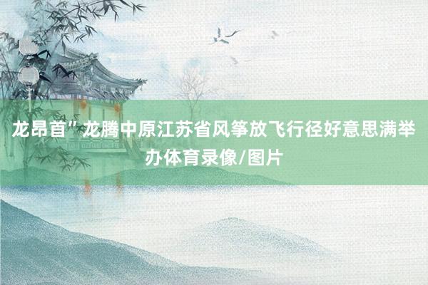 龙昂首”龙腾中原江苏省风筝放飞行径好意思满举办体育录像/图片