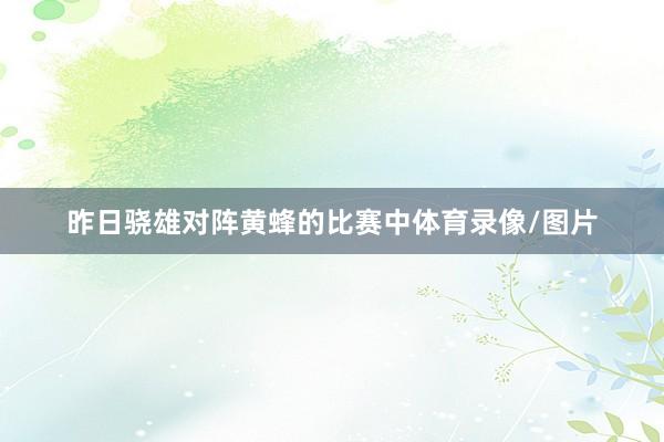 昨日骁雄对阵黄蜂的比赛中体育录像/图片