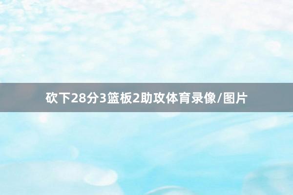 砍下28分3篮板2助攻体育录像/图片