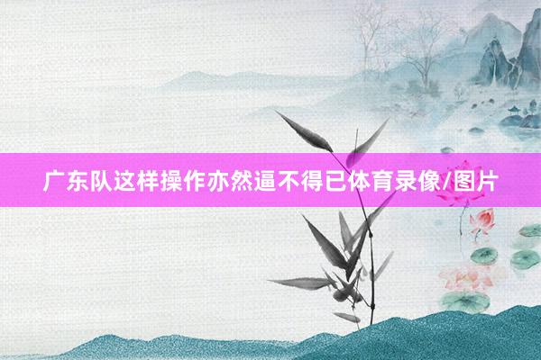 广东队这样操作亦然逼不得已体育录像/图片