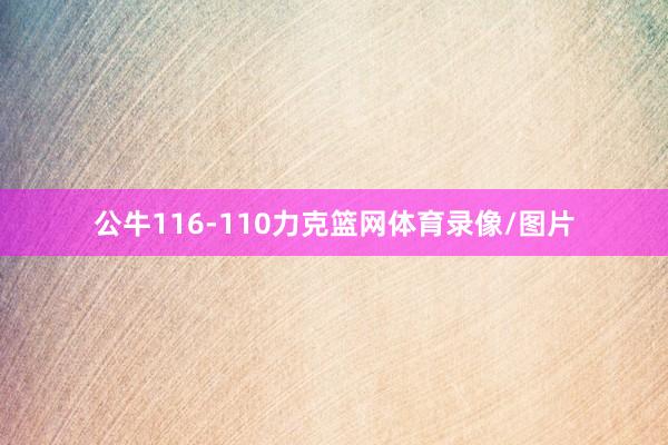 公牛116-110力克篮网体育录像/图片