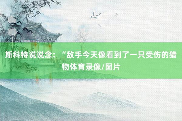 斯科特说说念：“敌手今天像看到了一只受伤的猎物体育录像/图片