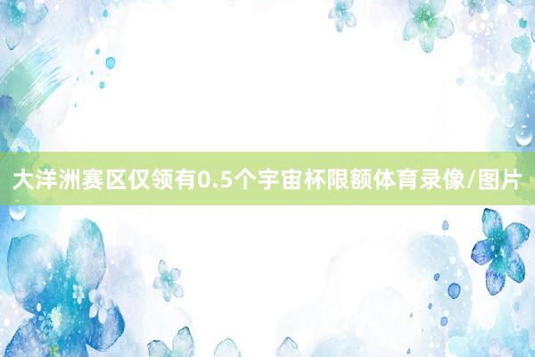 大洋洲赛区仅领有0.5个宇宙杯限额体育录像/图片