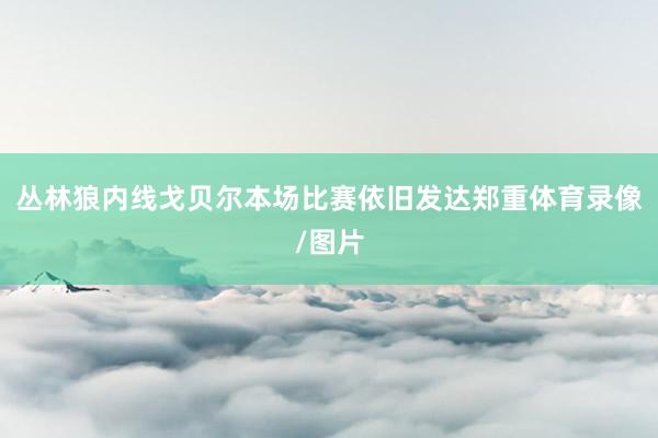 丛林狼内线戈贝尔本场比赛依旧发达郑重体育录像/图片