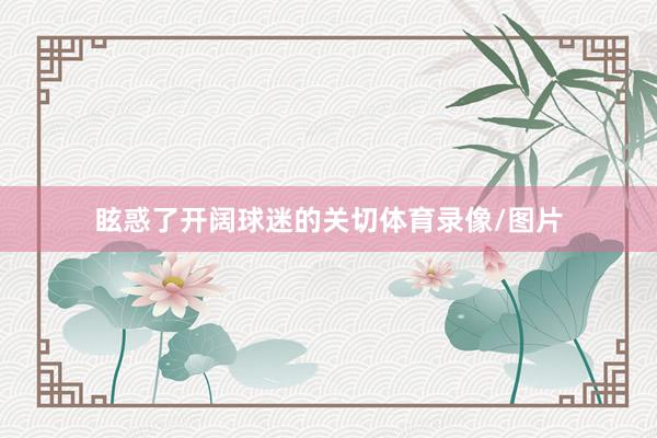 眩惑了开阔球迷的关切体育录像/图片