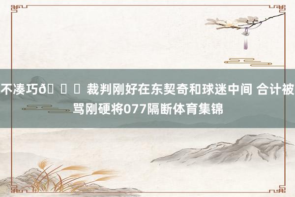 不凑巧😅裁判刚好在东契奇和球迷中间 合计被骂刚硬将077隔断体育集锦