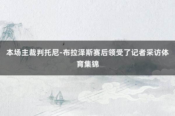本场主裁判托尼-布拉泽斯赛后领受了记者采访体育集锦