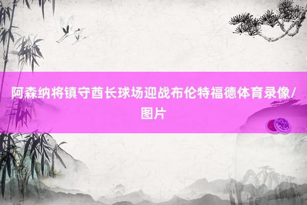 阿森纳将镇守酋长球场迎战布伦特福德体育录像/图片