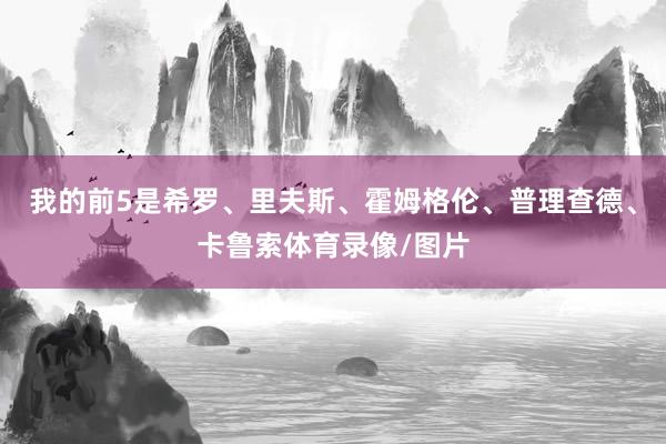 我的前5是希罗、里夫斯、霍姆格伦、普理查德、卡鲁索体育录像/图片