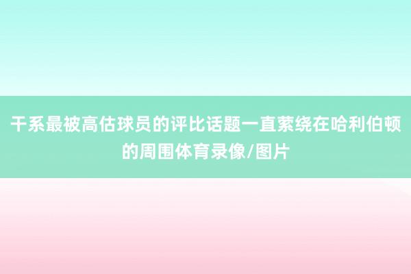 干系最被高估球员的评比话题一直萦绕在哈利伯顿的周围体育录像/图片