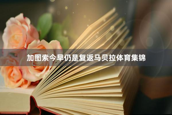 加图索今早仍是复返马贝拉体育集锦