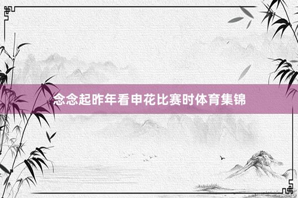念念起昨年看申花比赛时体育集锦
