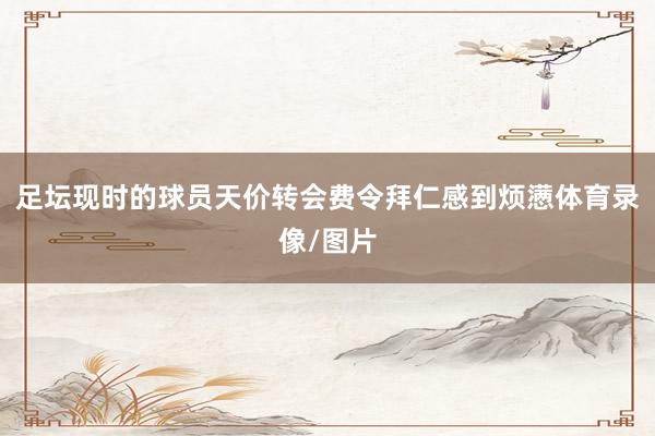 足坛现时的球员天价转会费令拜仁感到烦懑体育录像/图片