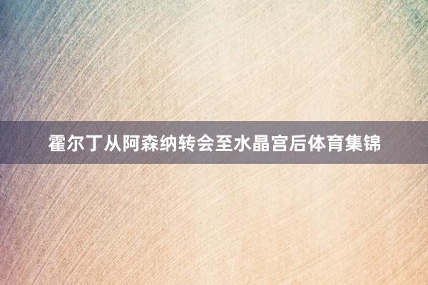 霍尔丁从阿森纳转会至水晶宫后体育集锦