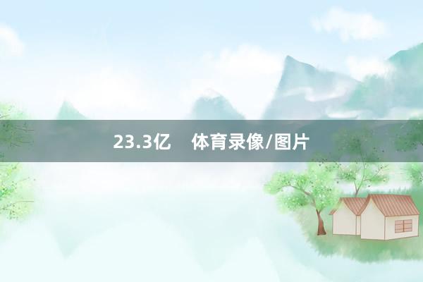 23.3亿    体育录像/图片