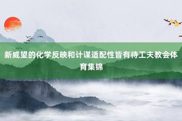 新威望的化学反映和计谋适配性皆有待工夫教会体育集锦