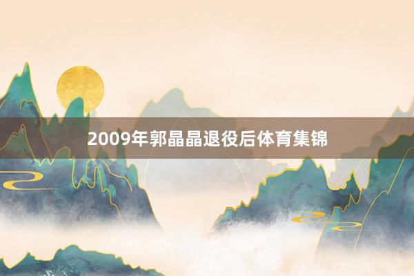 2009年郭晶晶退役后体育集锦