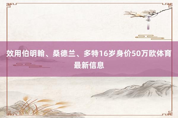 效用伯明翰、桑德兰、多特16岁身价50万欧体育最新信息