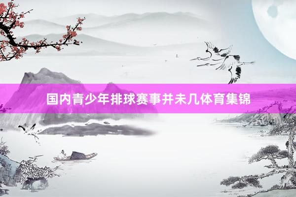 国内青少年排球赛事并未几体育集锦