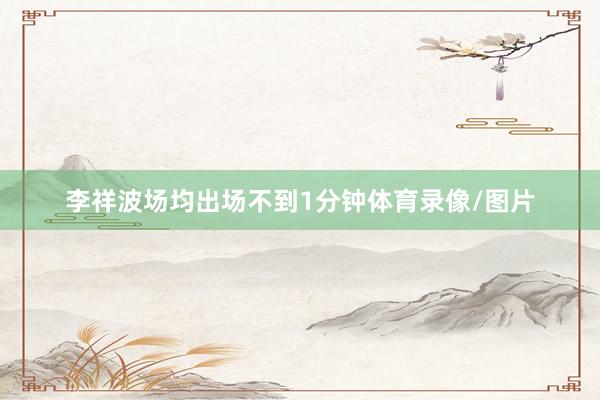 李祥波场均出场不到1分钟体育录像/图片