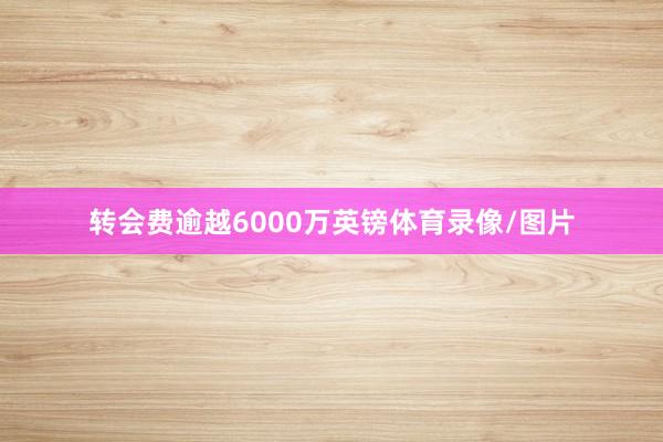 转会费逾越6000万英镑体育录像/图片