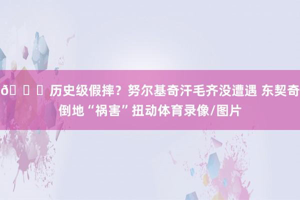😂历史级假摔？努尔基奇汗毛齐没遭遇 东契奇倒地“祸害”扭动体育录像/图片