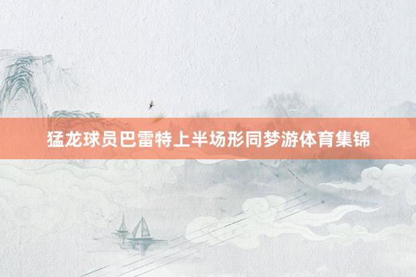 猛龙球员巴雷特上半场形同梦游体育集锦