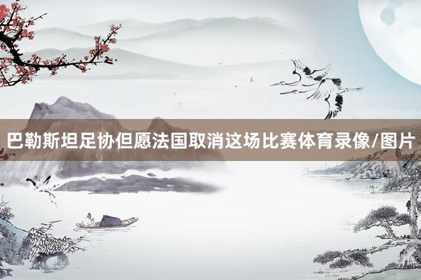 巴勒斯坦足协但愿法国取消这场比赛体育录像/图片
