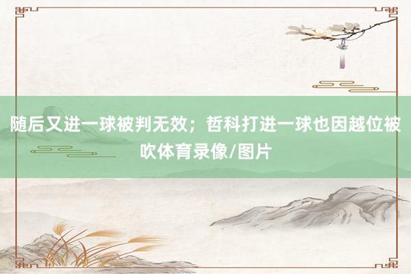 随后又进一球被判无效；哲科打进一球也因越位被吹体育录像/图片