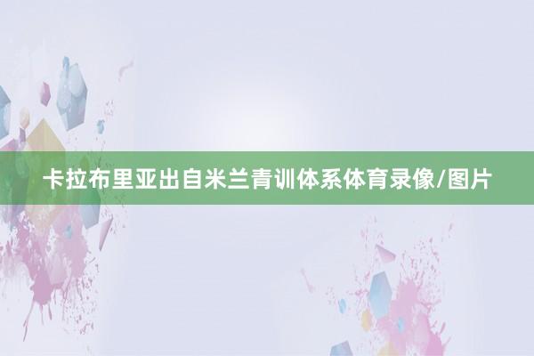 卡拉布里亚出自米兰青训体系体育录像/图片