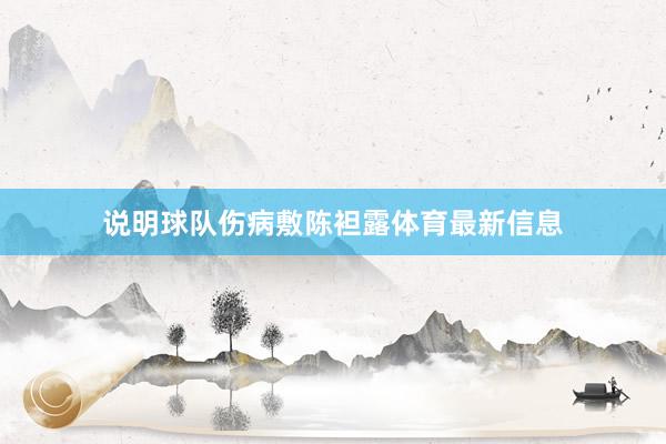 说明球队伤病敷陈袒露体育最新信息