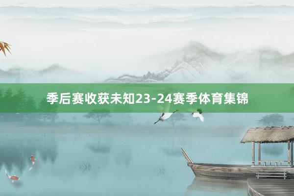 季后赛收获未知23-24赛季体育集锦