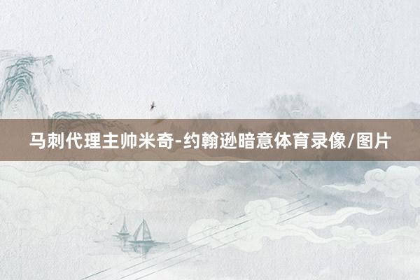 马刺代理主帅米奇-约翰逊暗意体育录像/图片