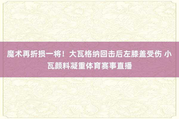 魔术再折损一将！大瓦格纳回击后左膝盖受伤 小瓦颜料凝重体育赛事直播