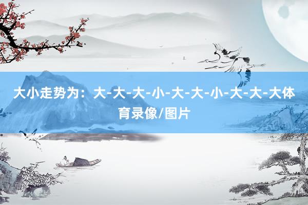 大小走势为：大-大-大-小-大-大-小-大-大-大体育录像/图片