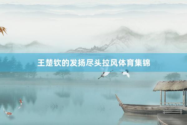 王楚钦的发扬尽头拉风体育集锦